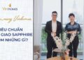 VINHOMES TV | TIÊU CHUẨN BÀN GIAO SAPPHIRE GỒM NHỮNG GÌ? | CẨM NANG VINHOMES