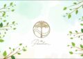 Vinhomes TV | Vinhomes Ocean Park - TVC The Pavilion