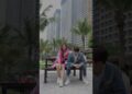Rủ người yêu chụp ngay bộ ảnh siêu cute này nhé #fypシ  #vinhomestv  #vinhomesoceanpark #shorts