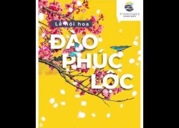 TẾT THÊM VUI CÙNG LỄ HỘI HOA XUÂN VINHOMES OCEAN PARK