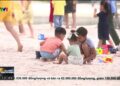 VTV1 - PHÓNG SỰ: VINHOMES GRAND PARK | TÂM ĐIỂM AN CƯ MỚI GIỮA LÒNG THỦ ĐỨC
